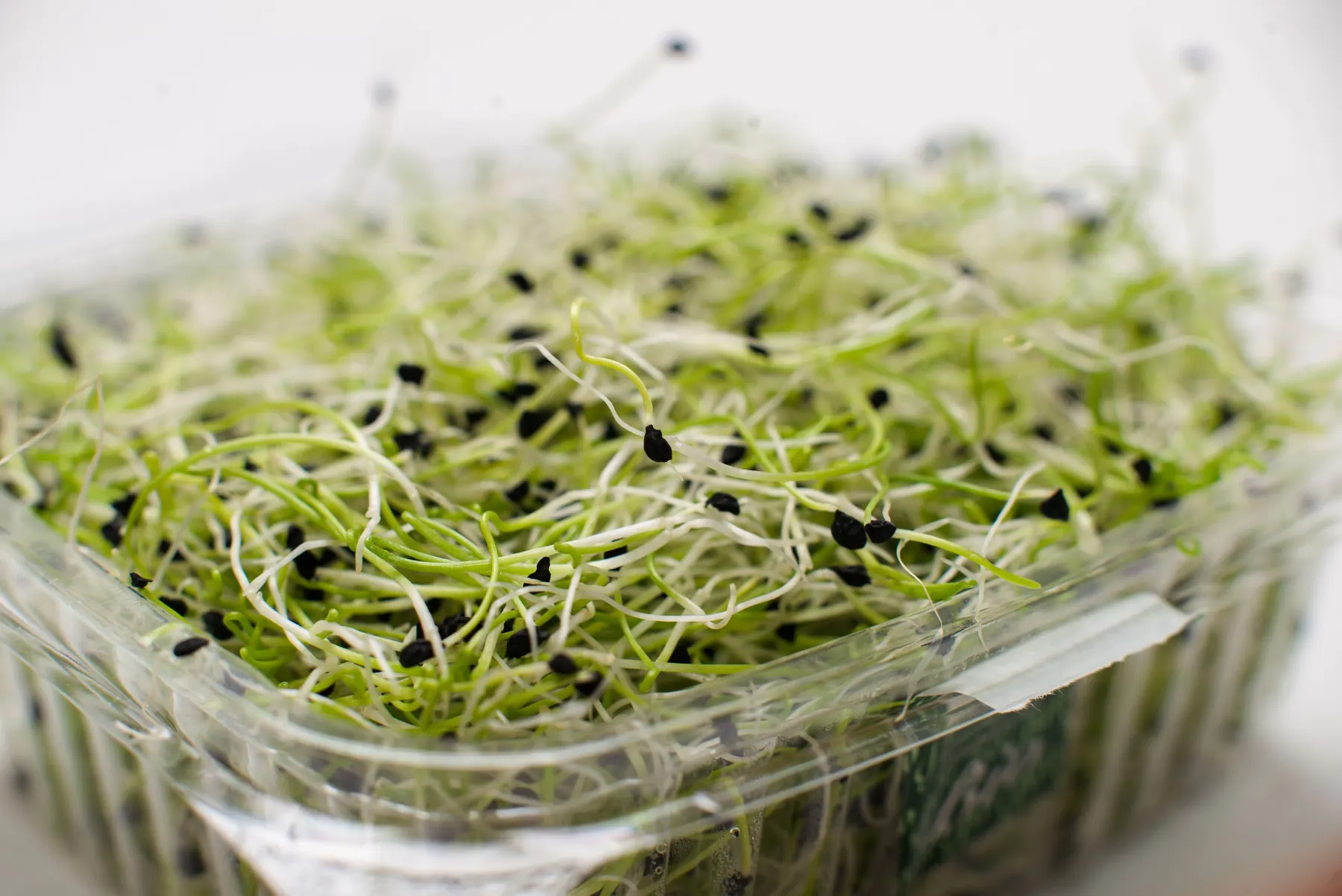 Alfalfa, listed on the label as the herb